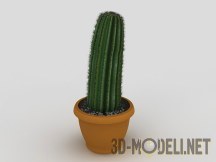 3d-модель Кактус в горшке