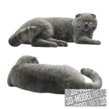 3d-модель Лежащая серая кошка