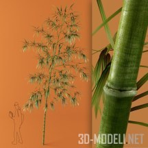 3d-модель Высокий бамбук