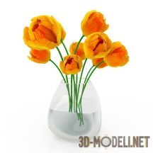 3d-модель Оранжевые тюльпаны