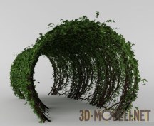 3d-модель Зеленый тоннель берсо