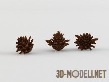 3d-модель Сосновые шишки