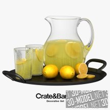 3d-модель Лимонад с плодами на черном подносе Crate & Barrel