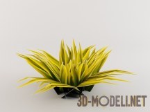 3d-модель Grass bush low-poly