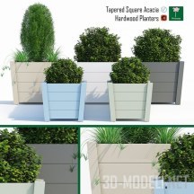 3d-модель Деревянные контейнеры от Primrose для растений