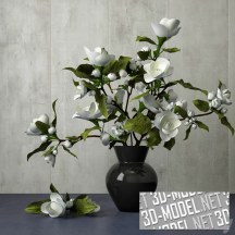 3d-модель Ветки с белыми цветами в черной вазе