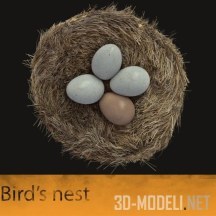 3d-модель Птичье гнездо с четырьмя яйцами