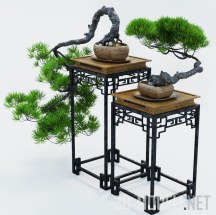 Декоративный набор с деревцем бонсай
