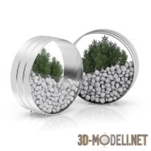 3d-модель Растения и камни в кольце