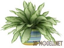 3d-модель Цветок Сансевиерия в горшке
