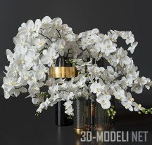 3d-модель Букеты с белыми орхидеями