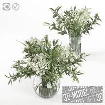 3d-модель Очаровательные букеты в стеклянных вазах