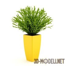 3d-модель Растение в ярком желтом горшке