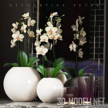3d-модель Орхидея в круглой вазе