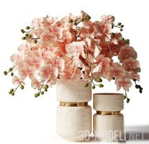 3d-модель Две вазы, одна с букетом орхидей