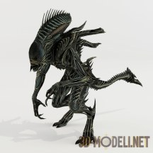 3d-модель Инопланетянин AlienXeno с анимациями