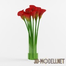 3d-модель Каллы красные в вазе