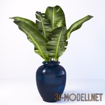 3d-модель Банановые листья в синей вазе