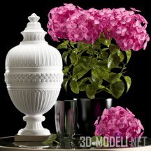 3d-модель Гортензия и белая ваза
