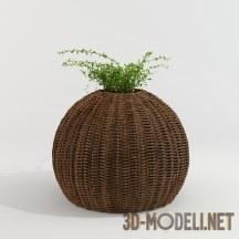 Зеленые ветки в плетеной вазе