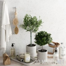 3d-модель Набор для ванной, с щетками и растениями