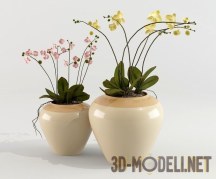 3d-модель Орхидеи в вазах Helene Reactive Glaze Collection