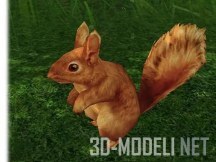 3d-ассет: Squirrel Low Poly Model