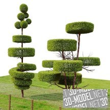 3d-модель Деревья-топиари 2-3м