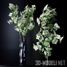 3d-модель Цветы жасмина в вазе