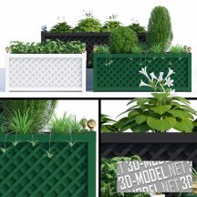 3d-модель Коллекция растений в садовых контейнерах