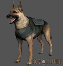 3d-модель Собака «Doggy Army» из «Splinter Cell Blacklist»