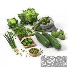 3d-модель Набор овощей зеленого цвета
