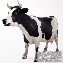 3d-модель Белая с черными пятнами корова