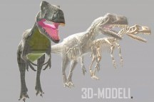 3d-ассет: Allosaurus And Skeleton