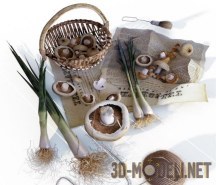 3d-модель Шампиньоны, корзинка, газеты и лук