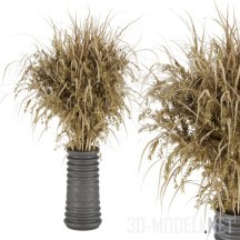 3d-модель Букет из сухих трав в вазе