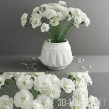 3d-модель Белые гвоздики в белой вазе