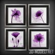 3d-модель Коллекция картин с фиолетовым цветком
