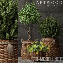 3d-модель Набор растений в горшках Artwood