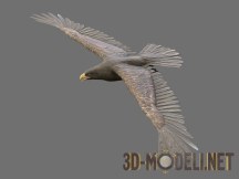 3d-модель Летящий орел