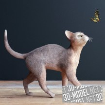 3d-модель Абиссинская кошка и бабочка
