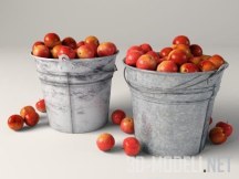 3d-модель Ведро с яблоками и пустое ведро