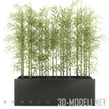 3d-модель Молодой бамбук в чёрном горшке