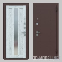 Входные двери, два вида