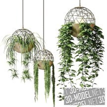 3d-модель Растения в террариумах Atelier Schroete