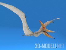 3d-ассет: Pteranodon Dinosaur