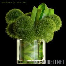 3d-модель Ваза с цветами Dianthus Green Trick
