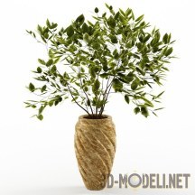 3d-модель Зеленое растение в витой вазе