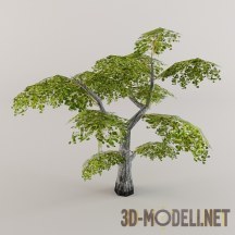 Tree wide low-poly