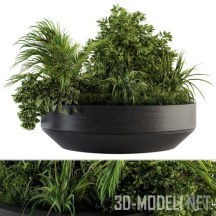 3d-модель Растительная композиция в бетонном горшке